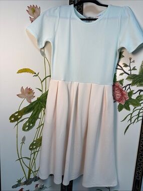 Precious LuLaRoe- Pastel Flare Dress - Light Blue -Blush Pink with side pockets